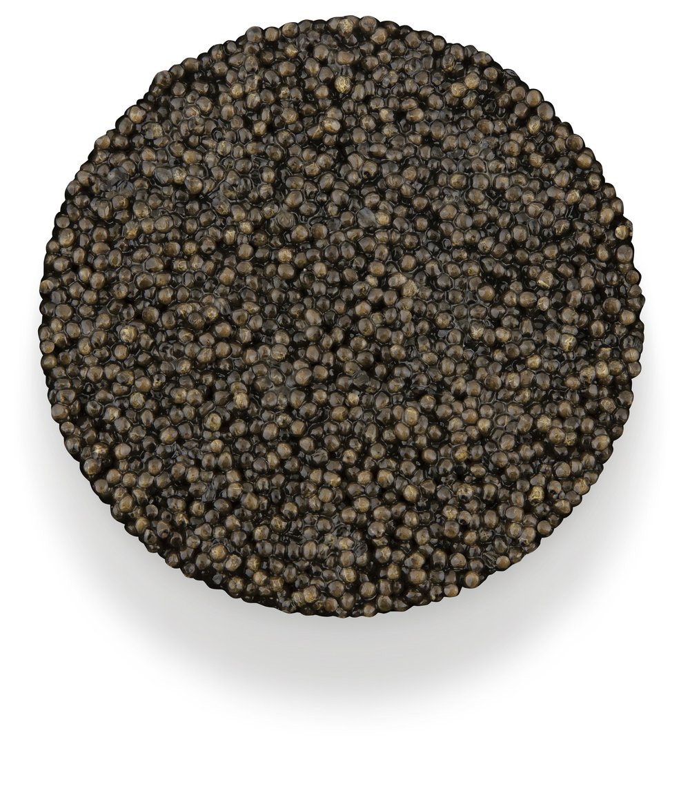 Oscietra Caviar