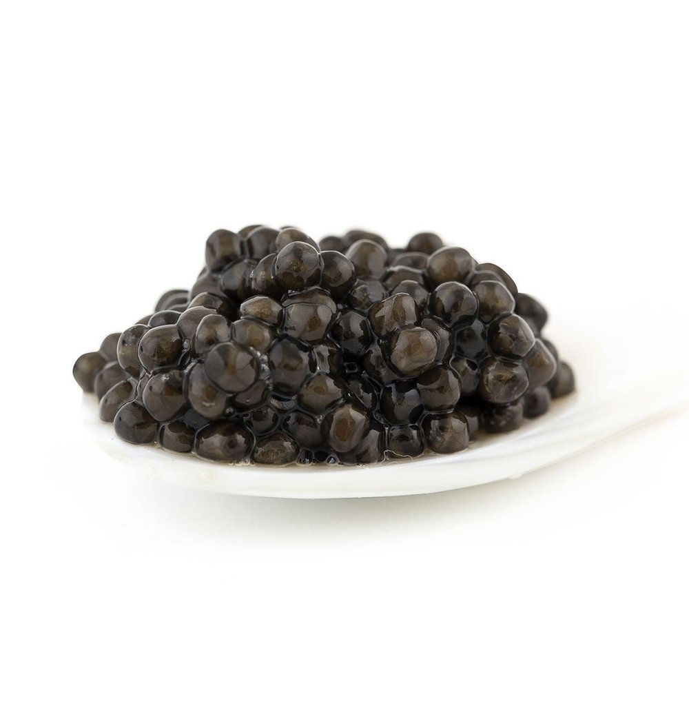 Tradition Caviar