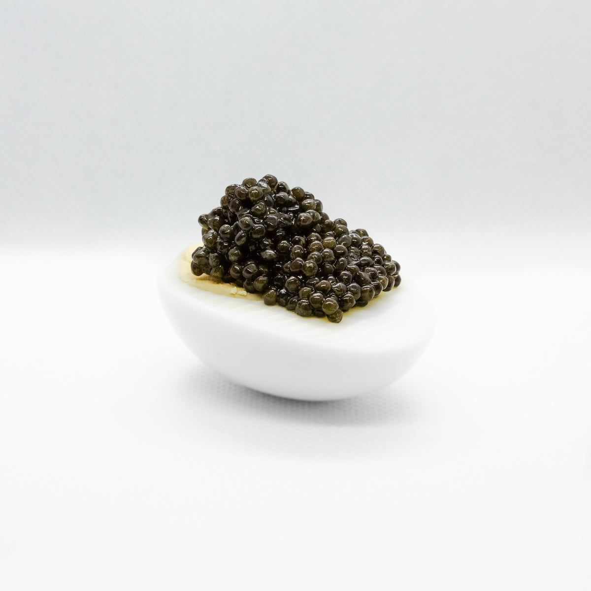 Tradition Caviar