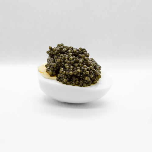 Oscietra Caviar